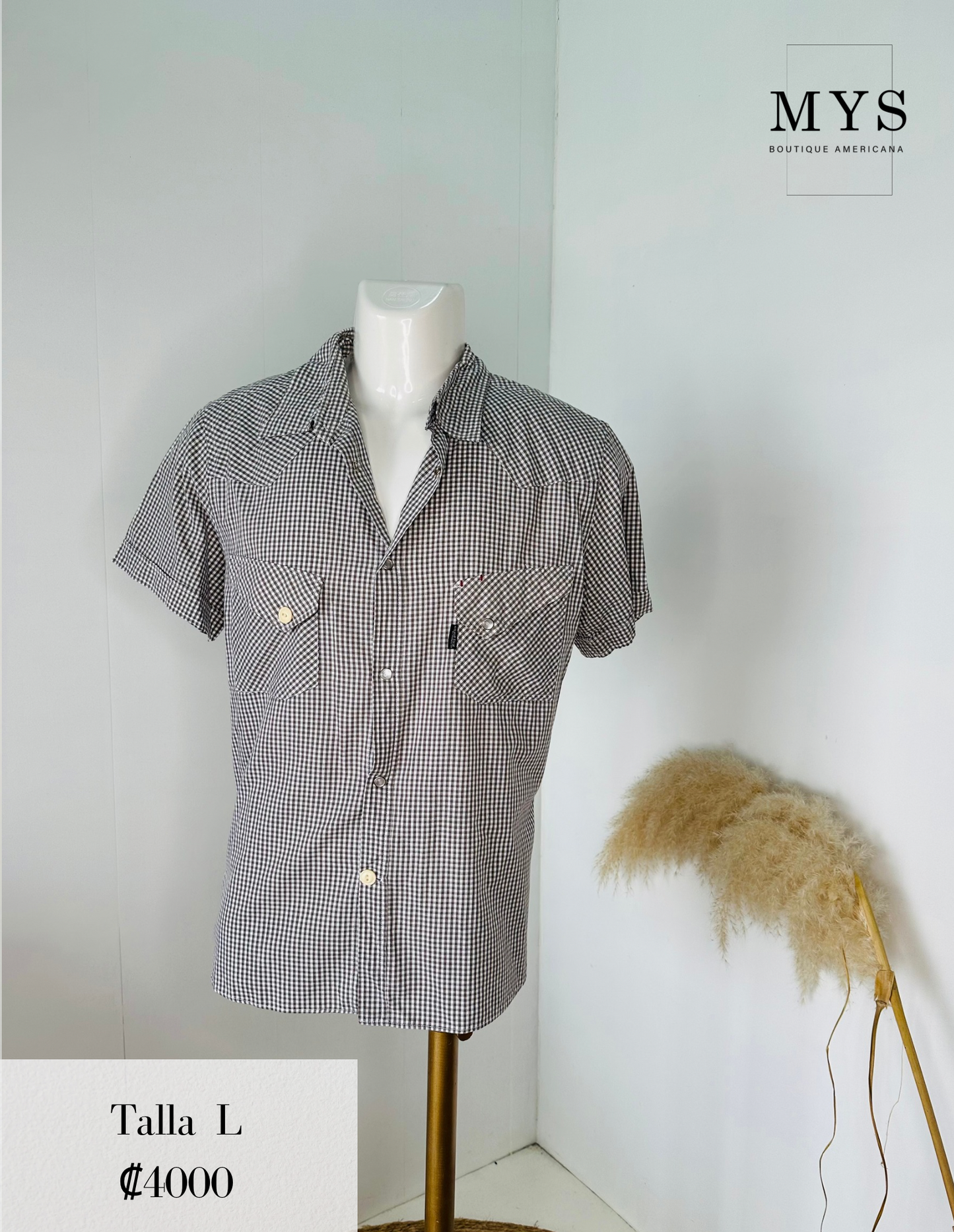 Camisa