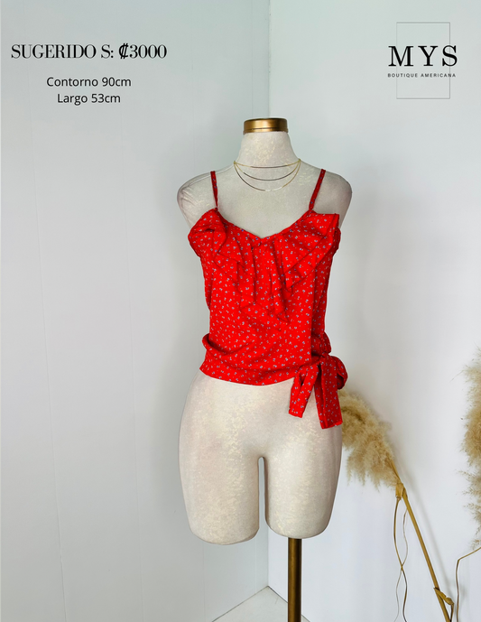 Blusa