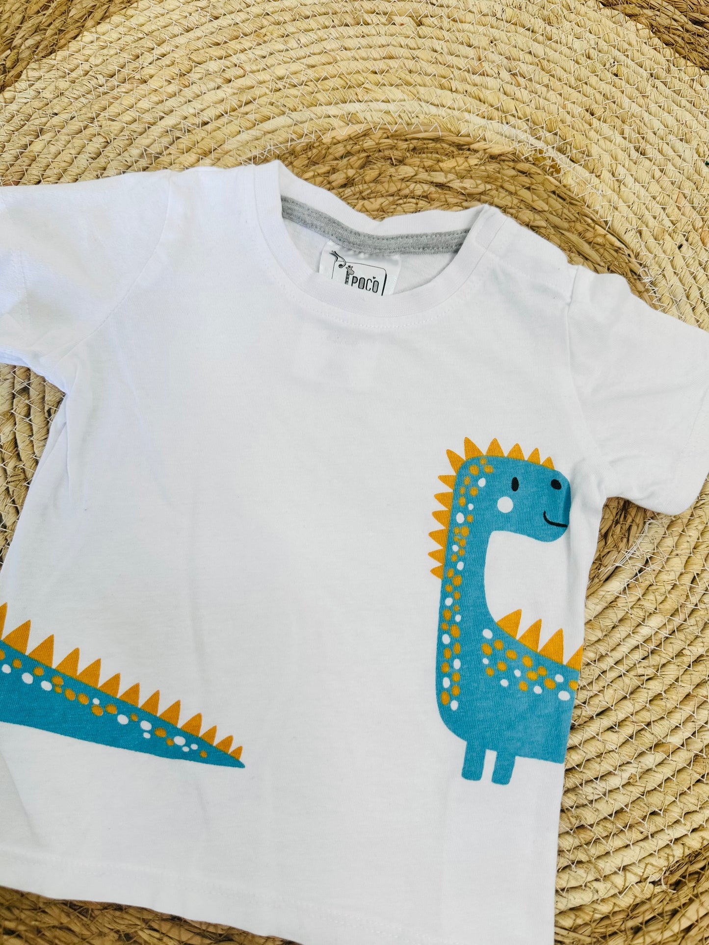 Camisa