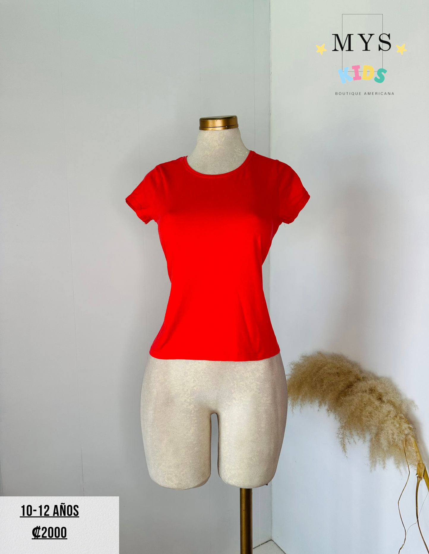 Blusa