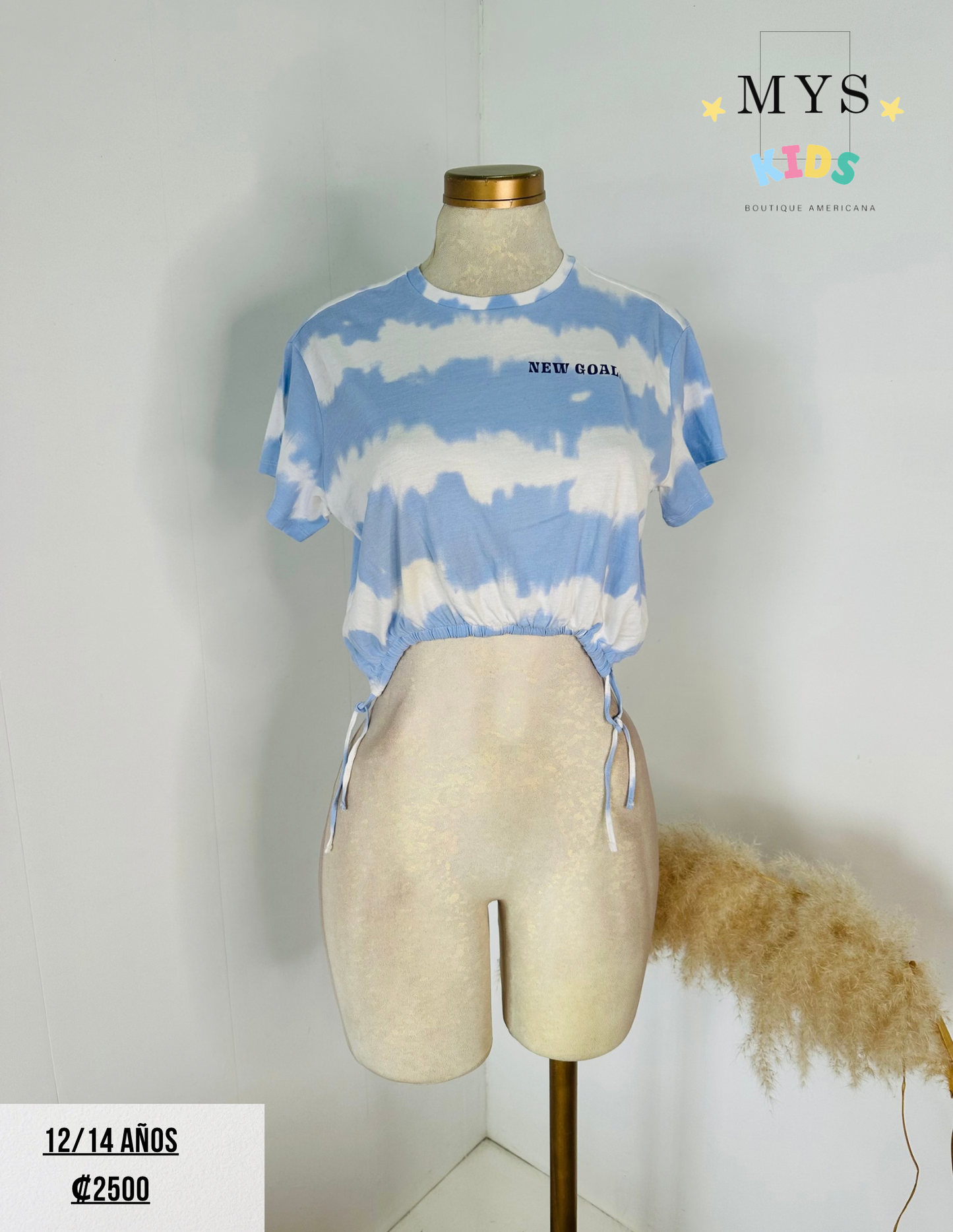 Blusa