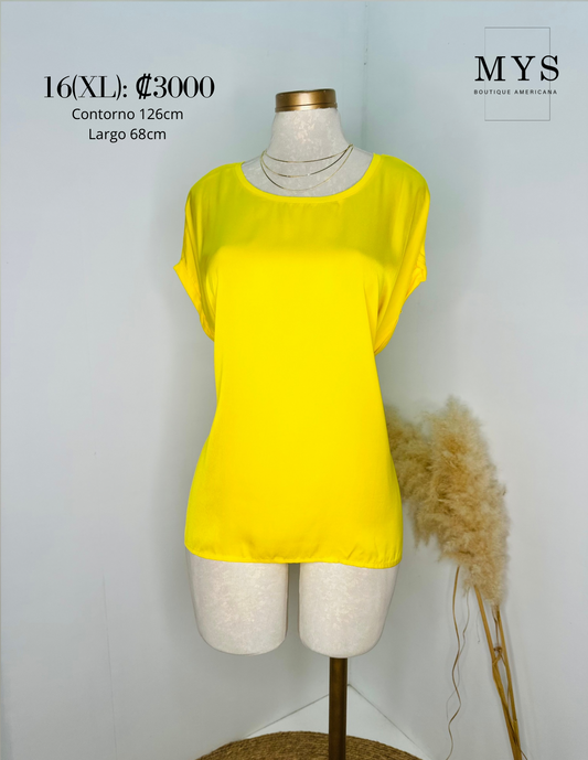 Blusa