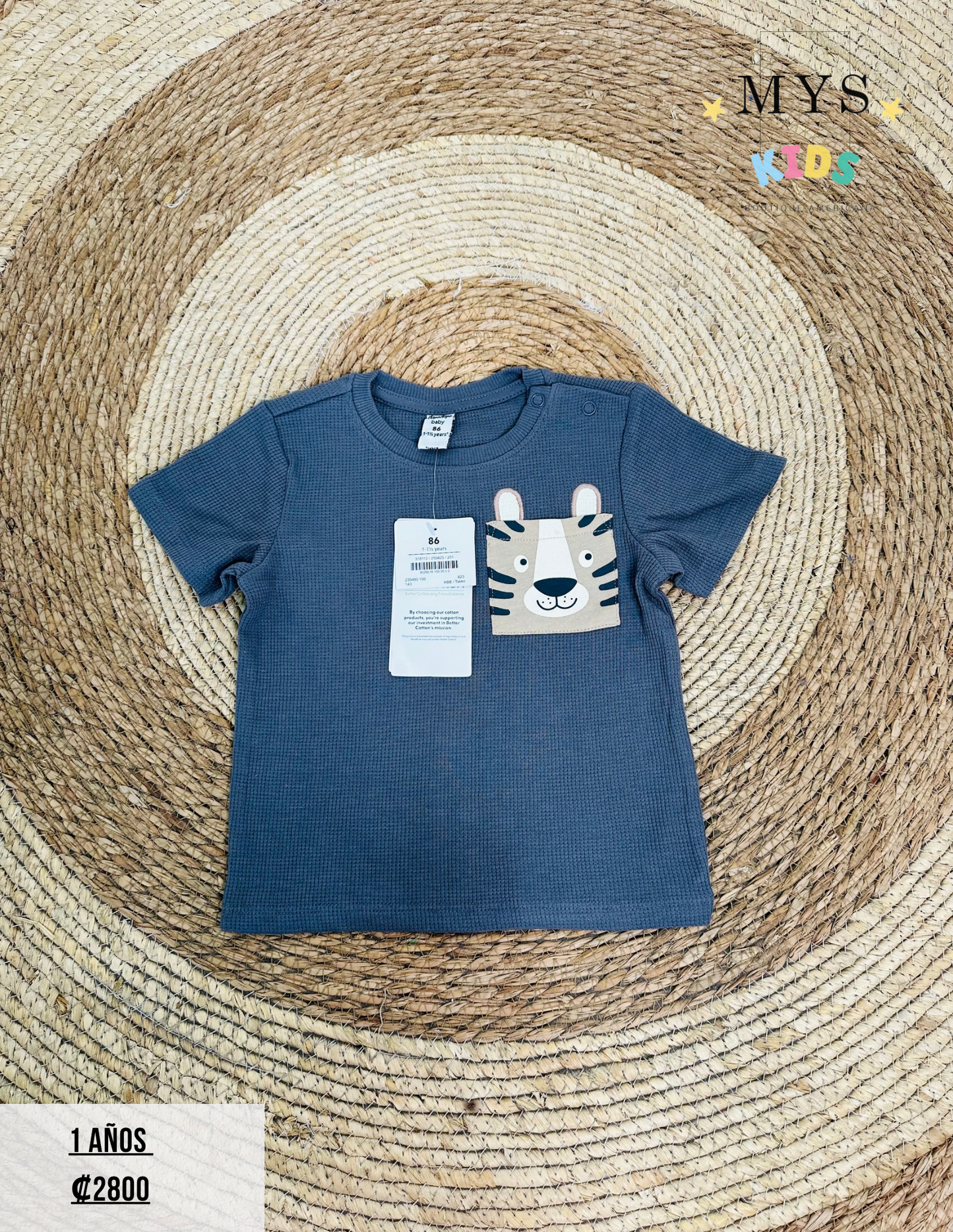 Camisa