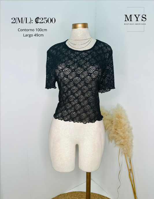 Blusa