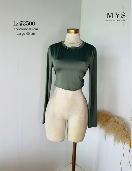 Blusa