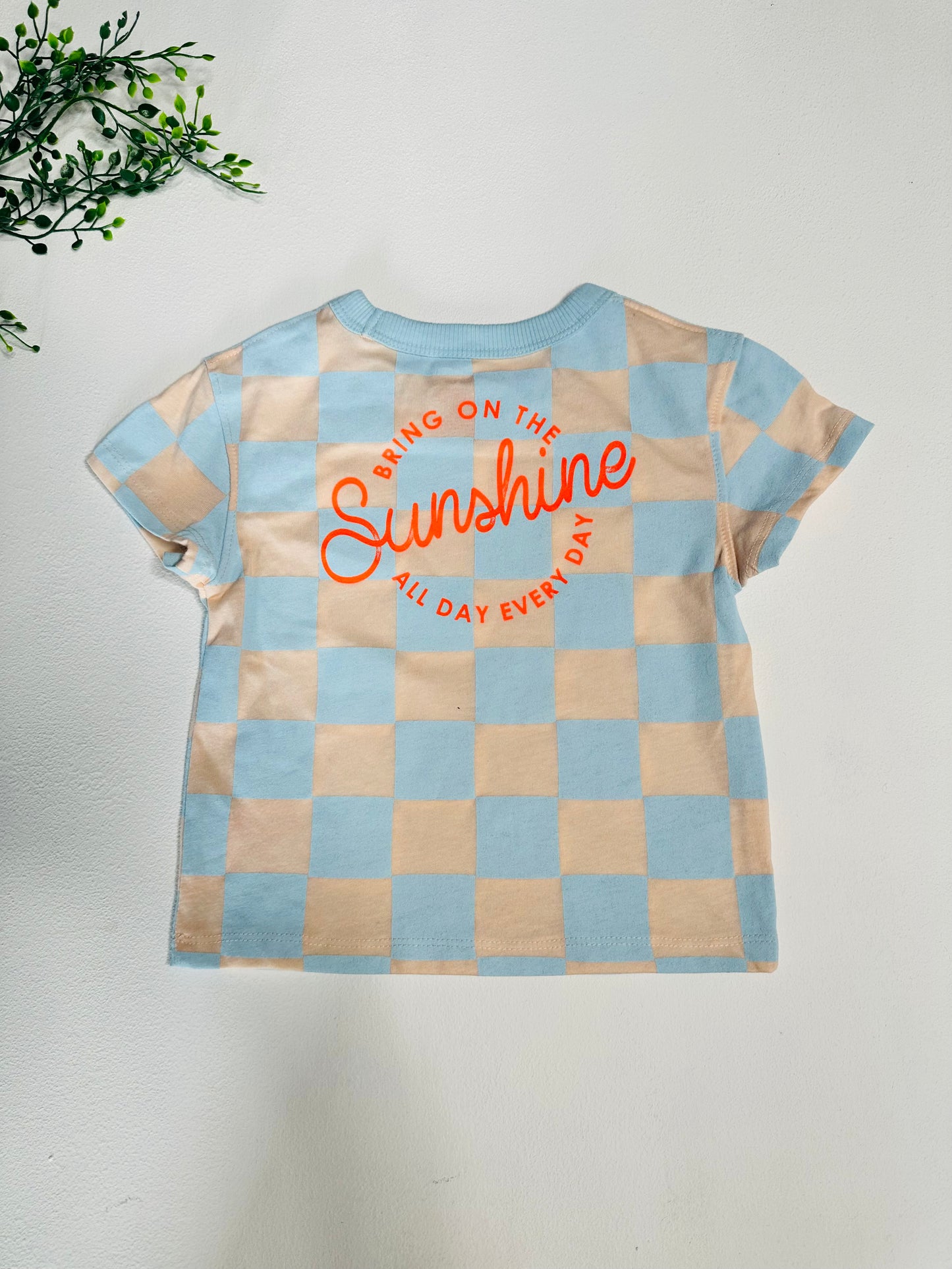 Camisa