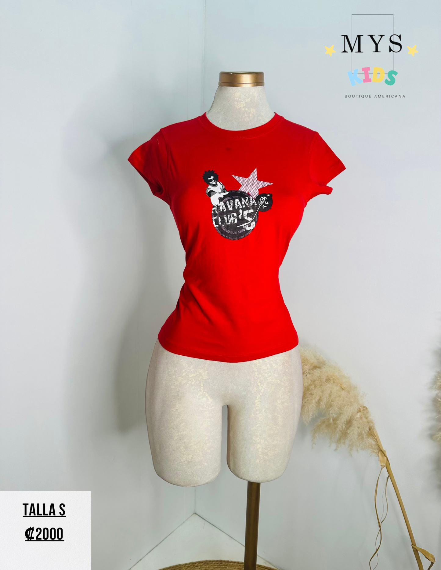 Blusa