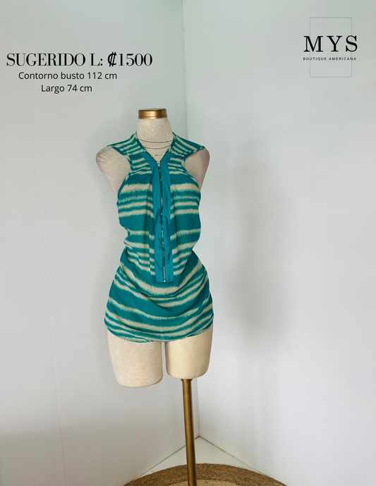 Blusa