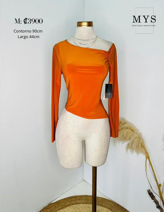 Blusa