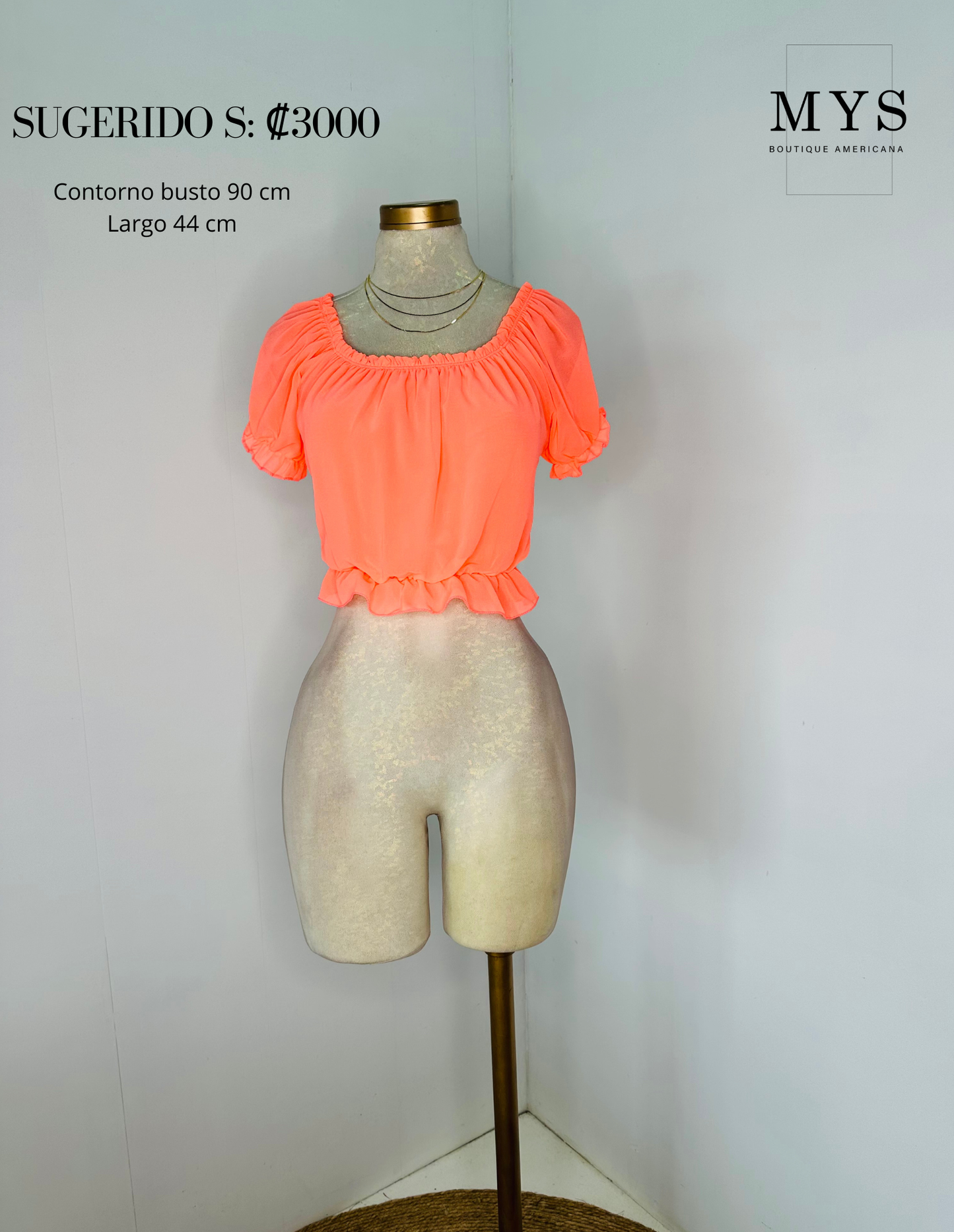 Blusa