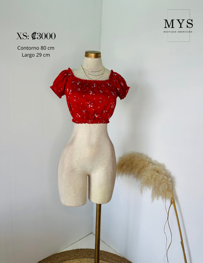 Blusa