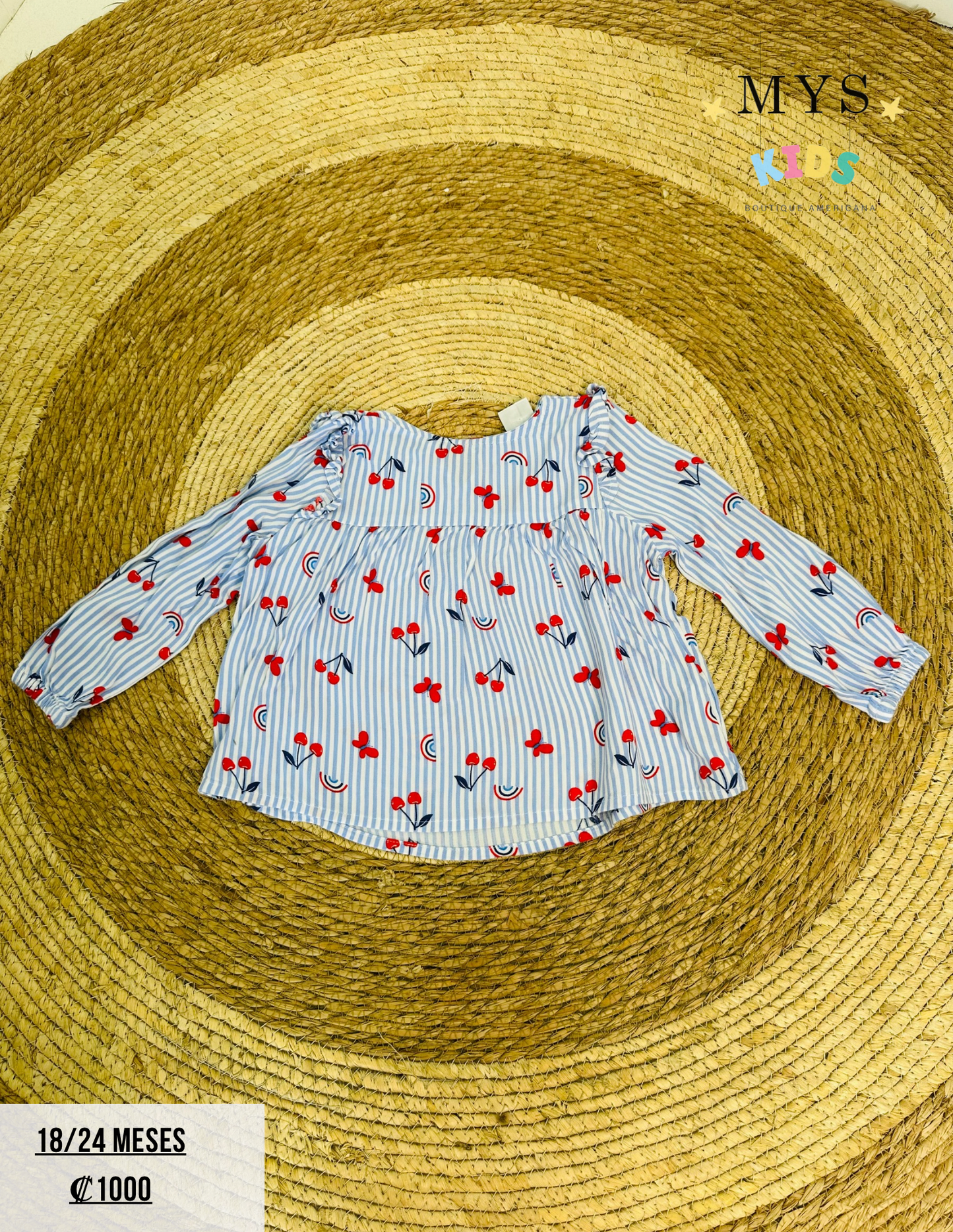 Blusa