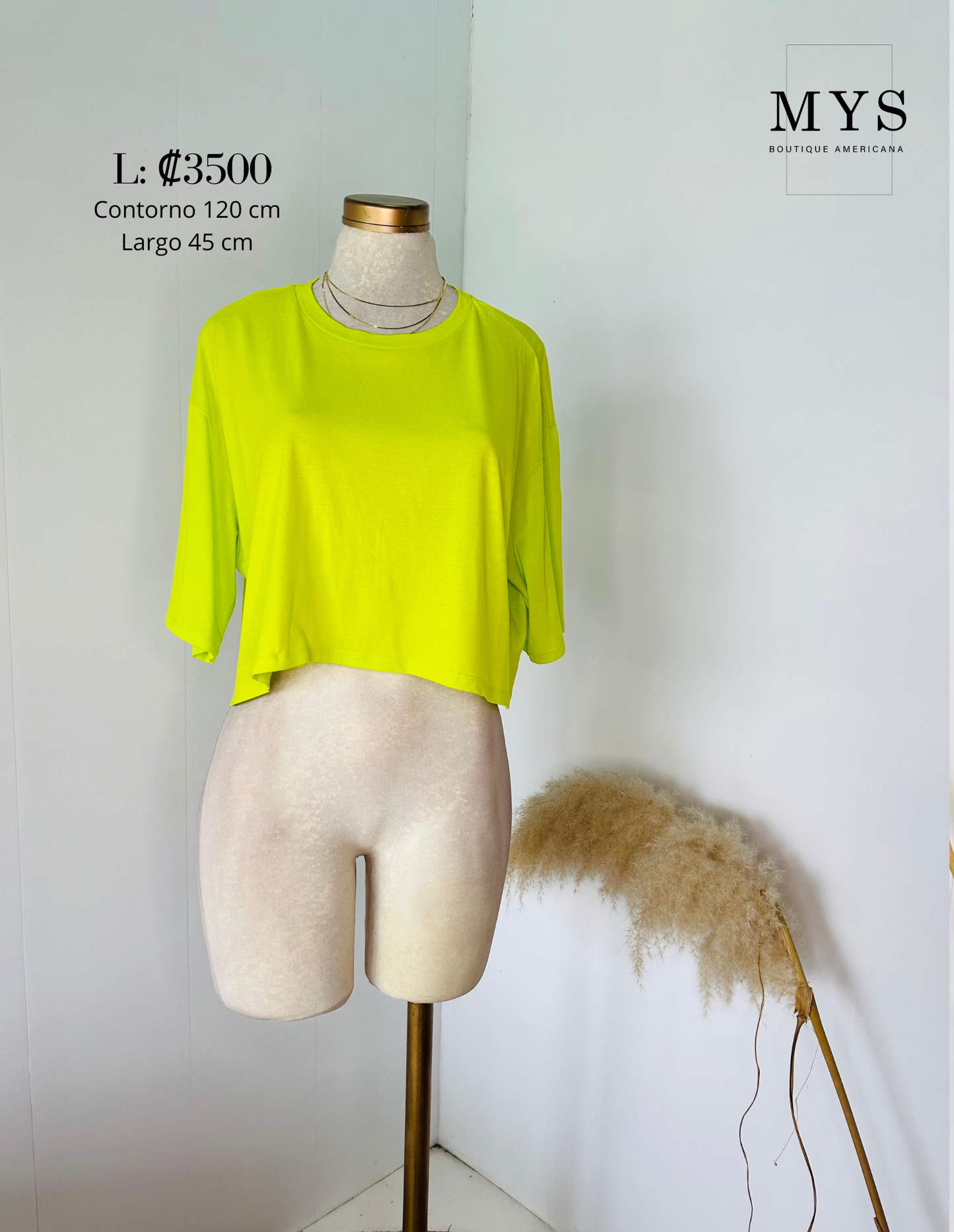 Blusa