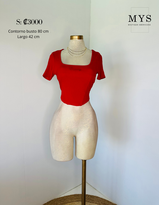 Blusa