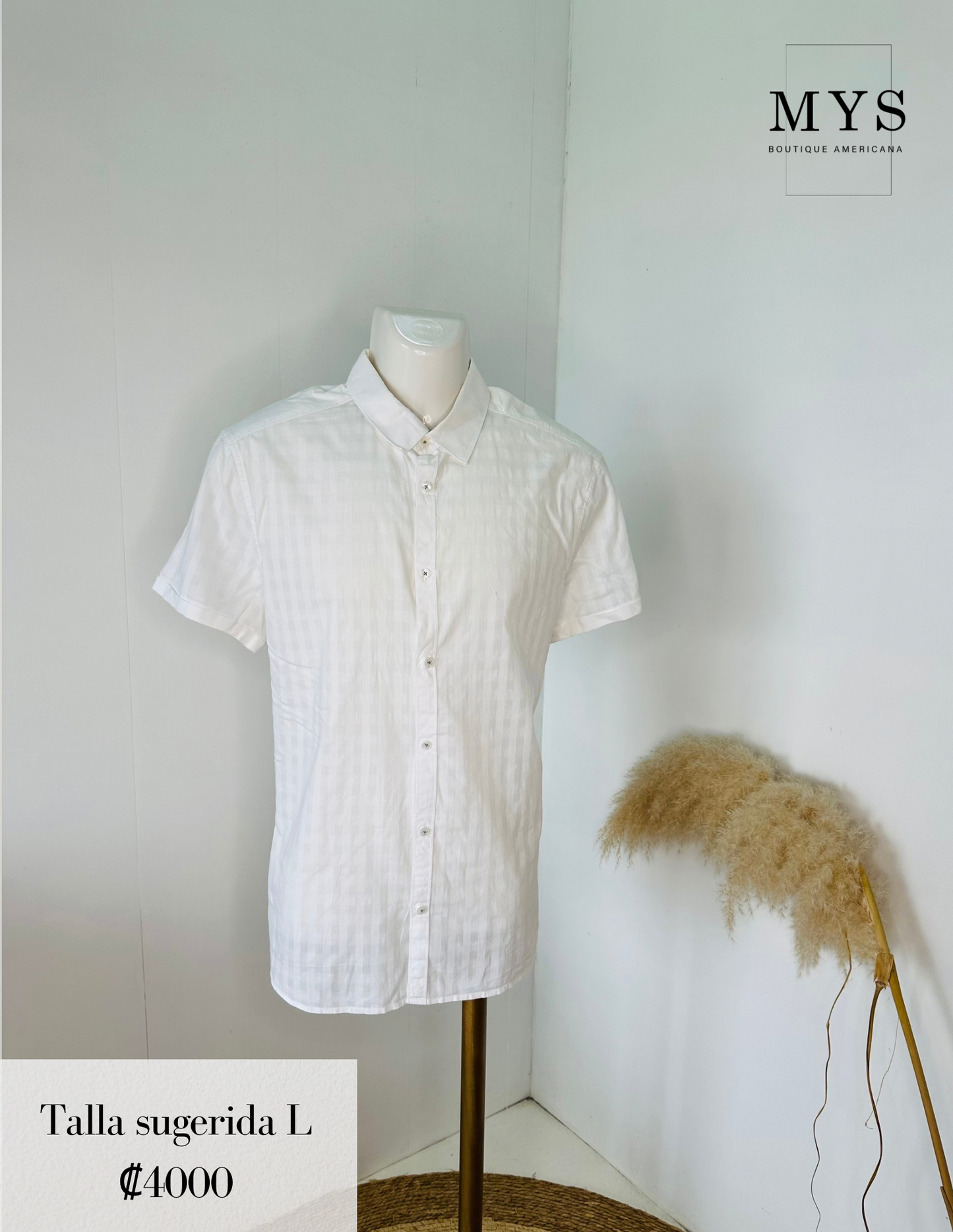 Camisa blanca