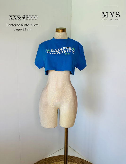 Blusa