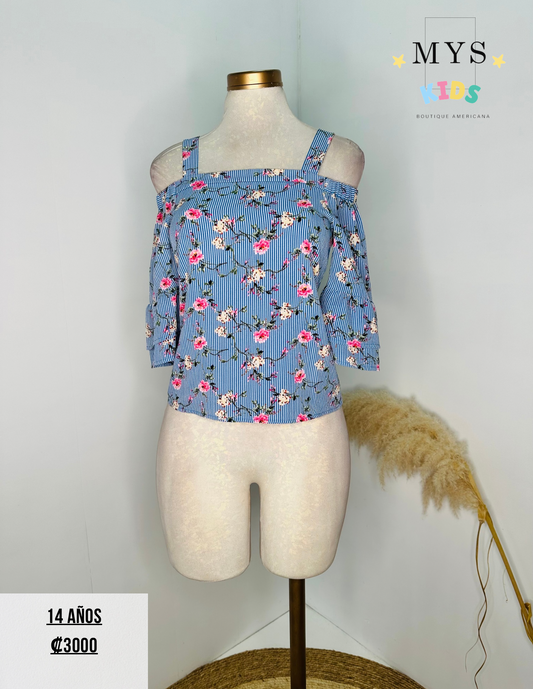 Blusa