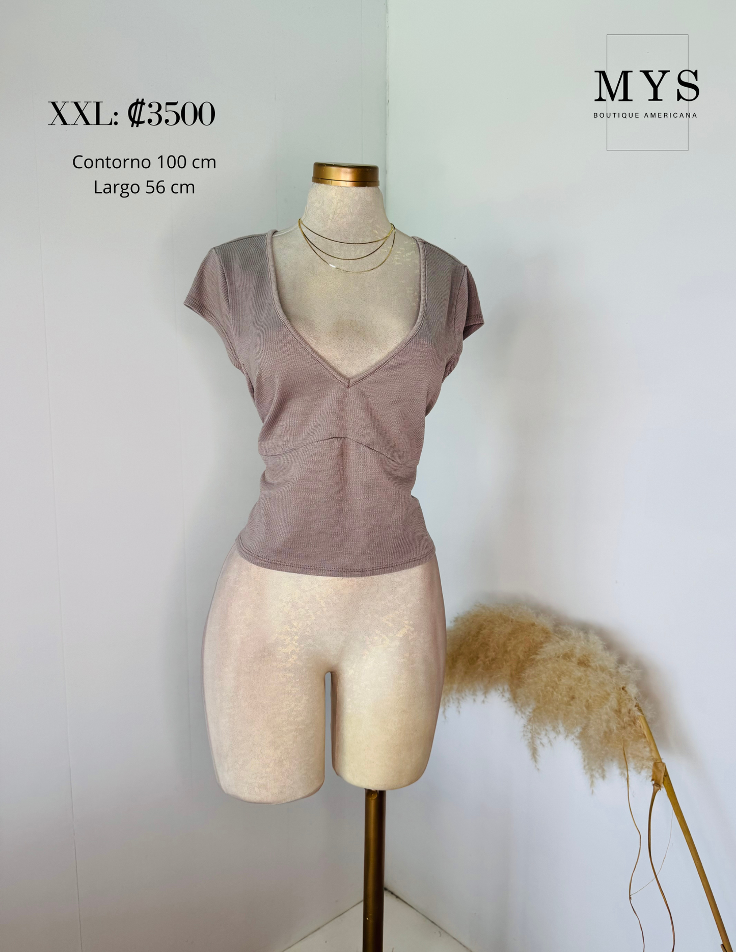 Blusa