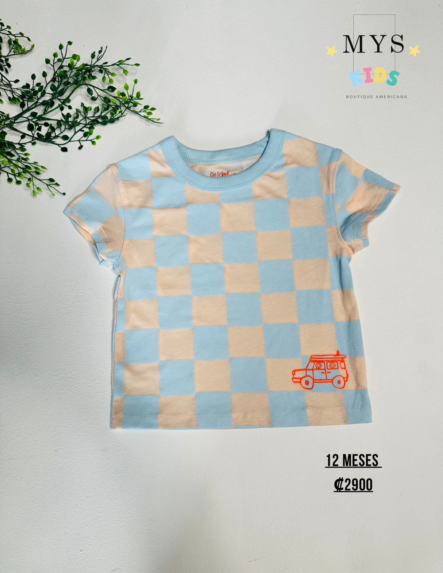 Camisa