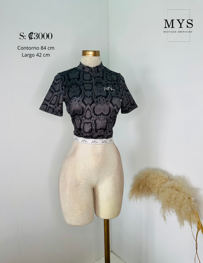 Blusa