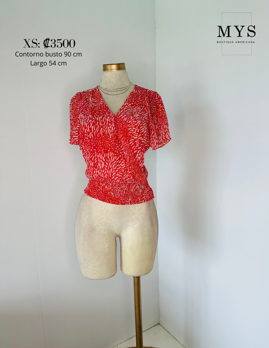 Blusa