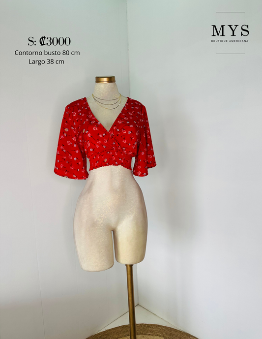 Blusa
