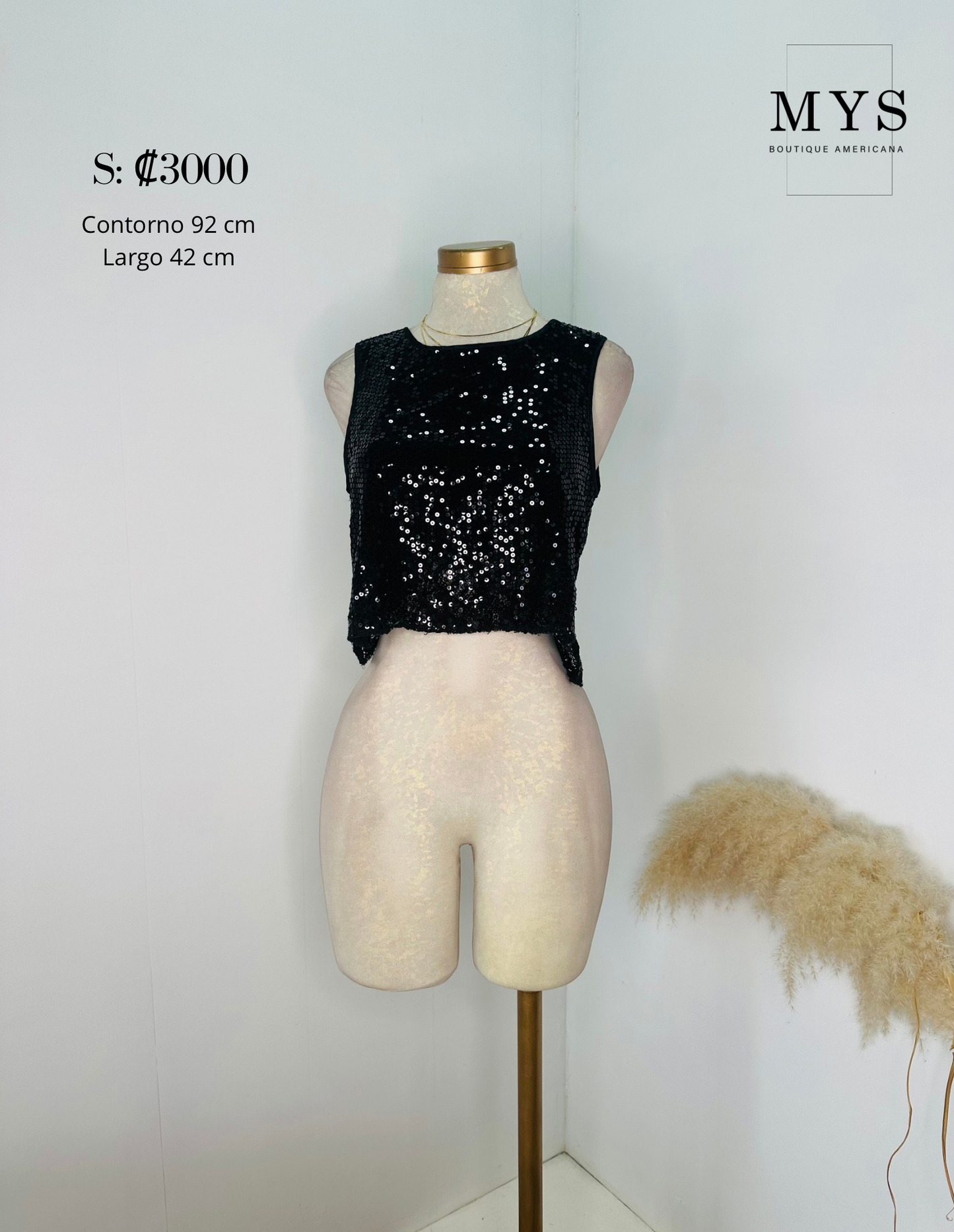 Blusa