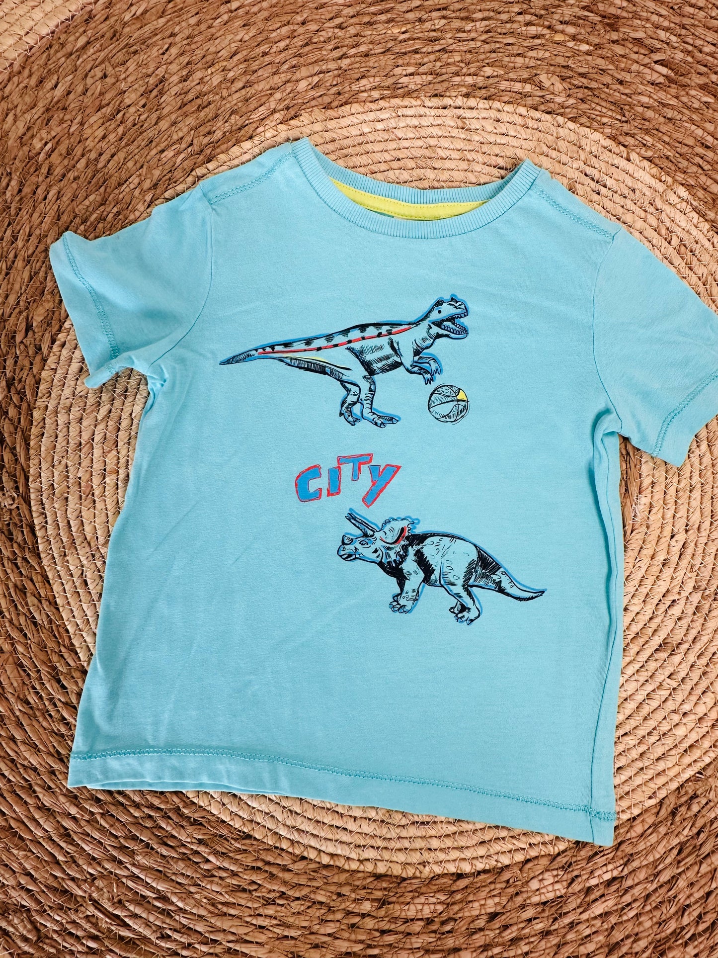 Camisa