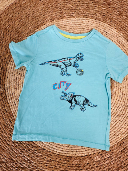 Camisa