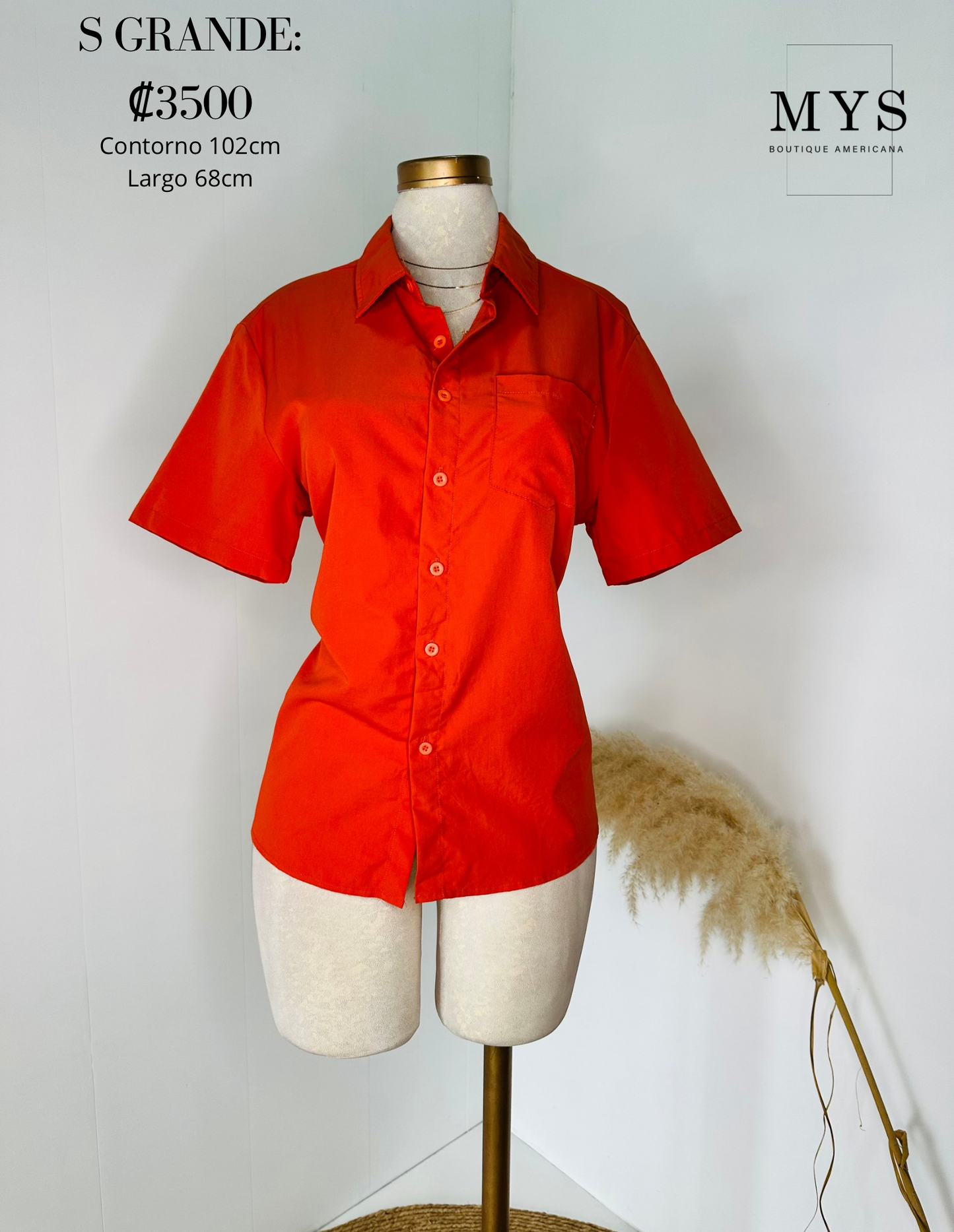 Blusa