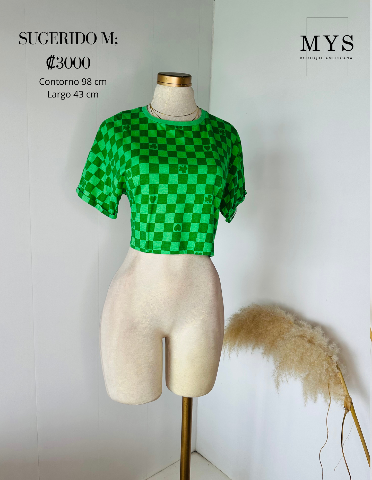Blusa