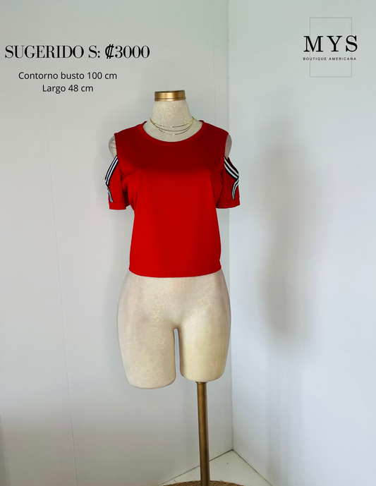 Blusa