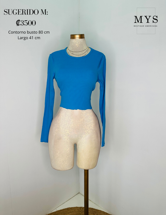 Blusa