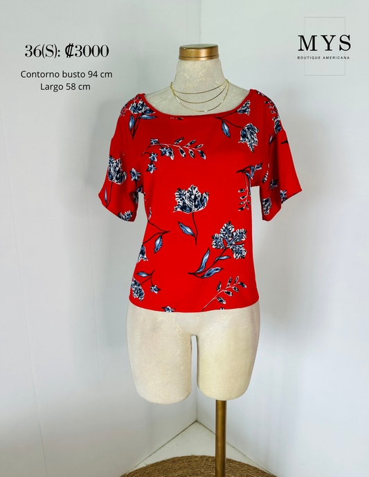 Blusa