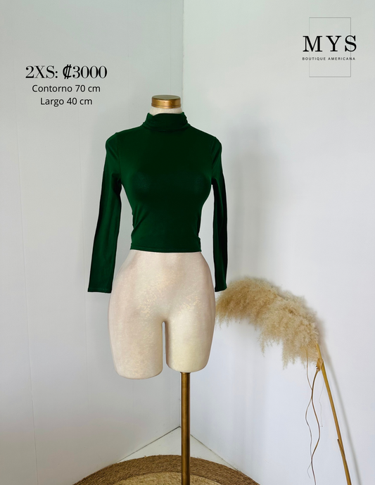 Blusa