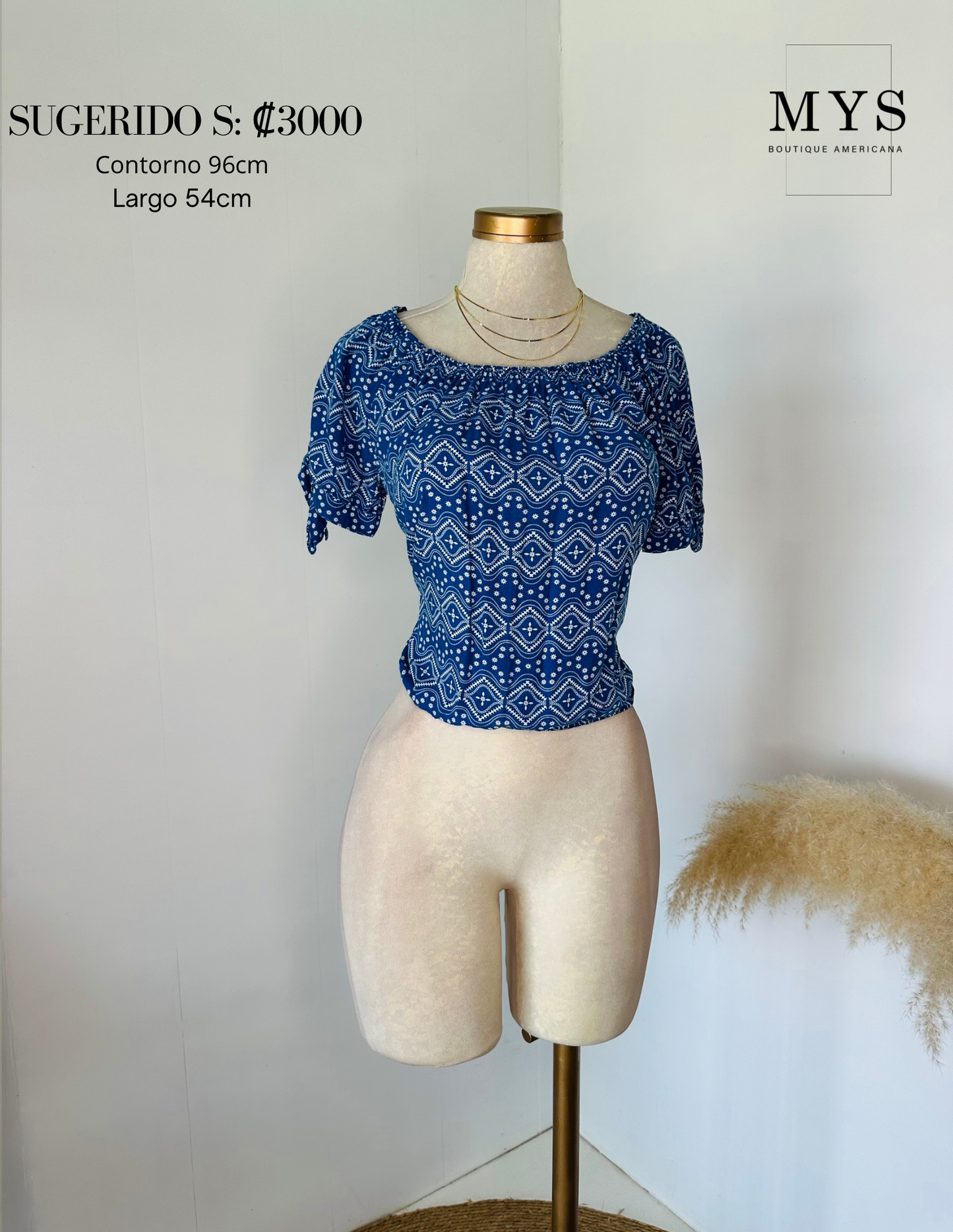 Blusa