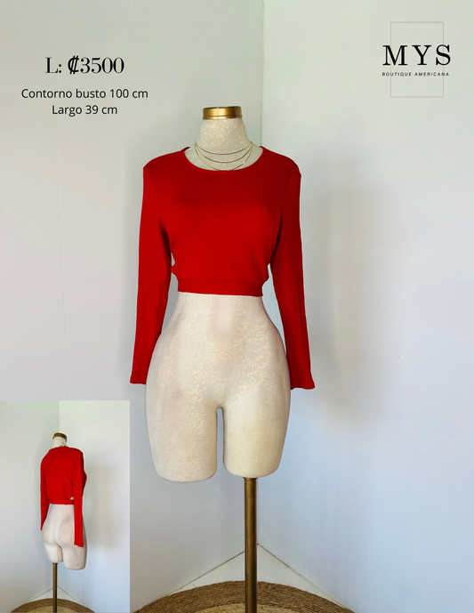 Blusa