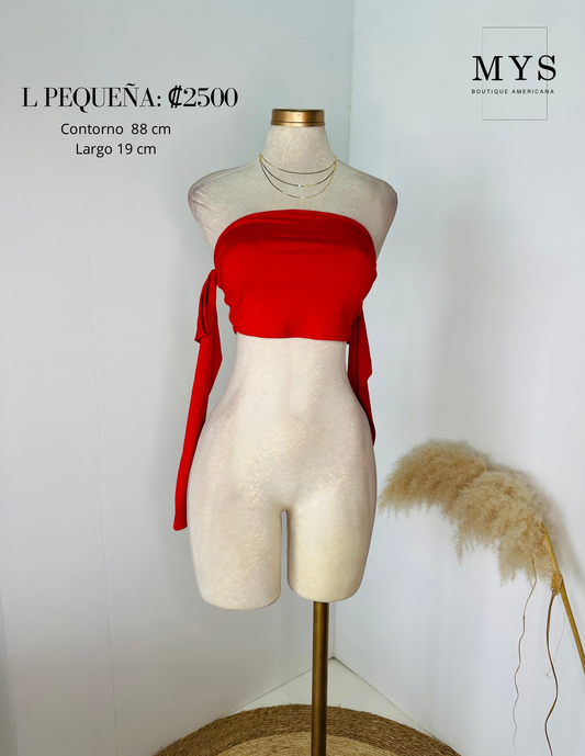 Blusa