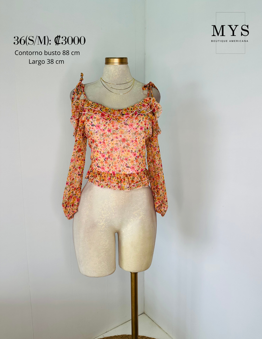 Blusa