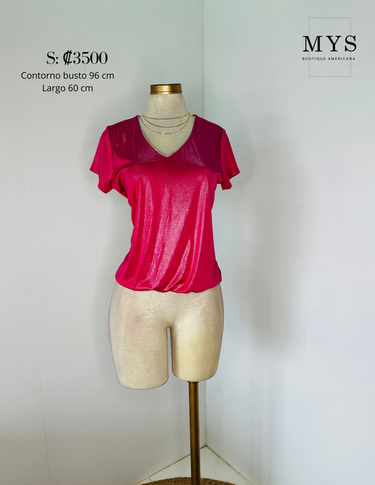 Blusa