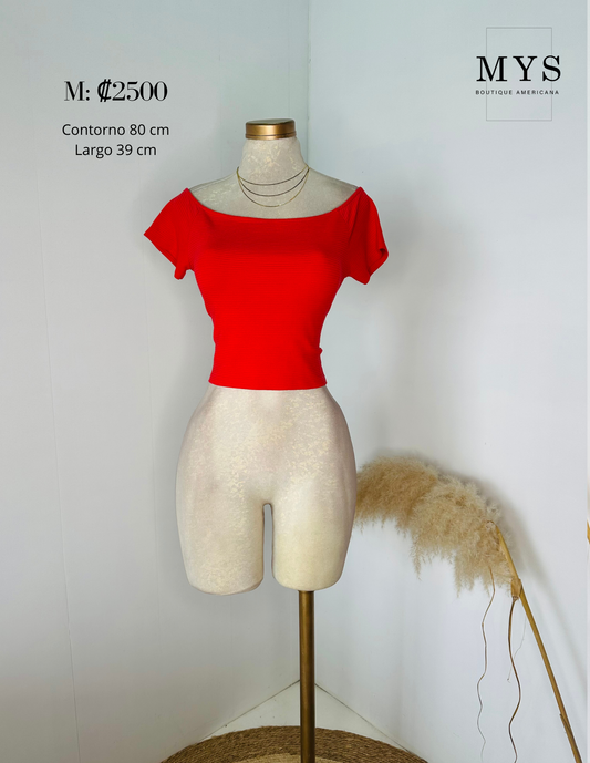 Blusa
