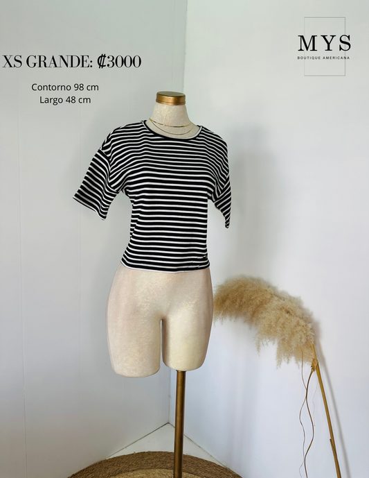 Blusa