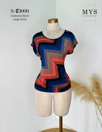Blusa