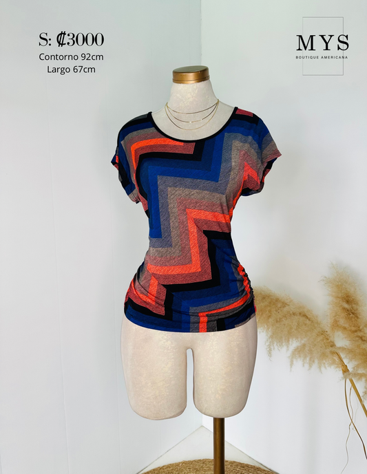 Blusa