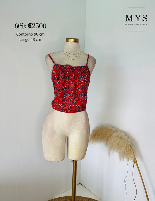 Blusa