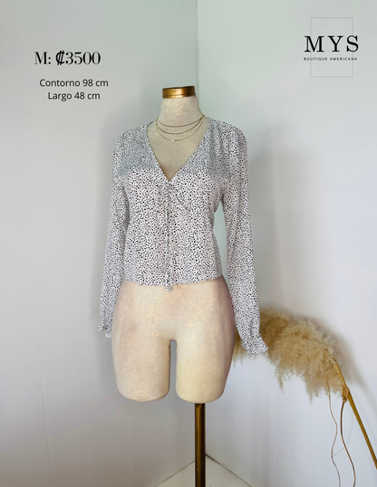 Blusa