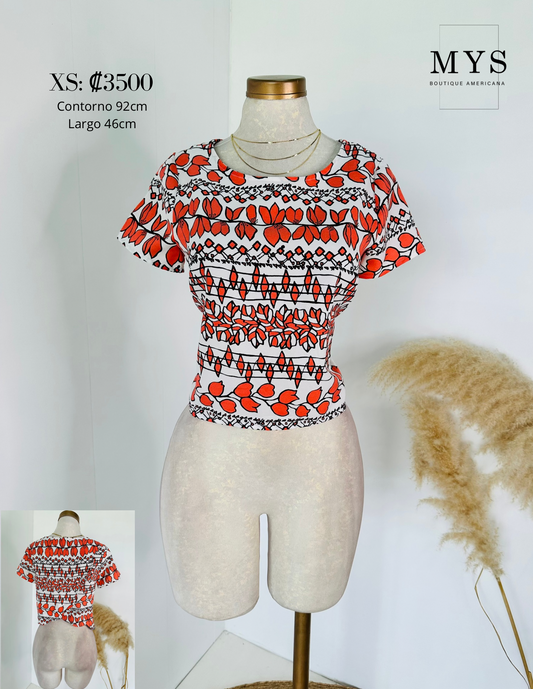 Blusa