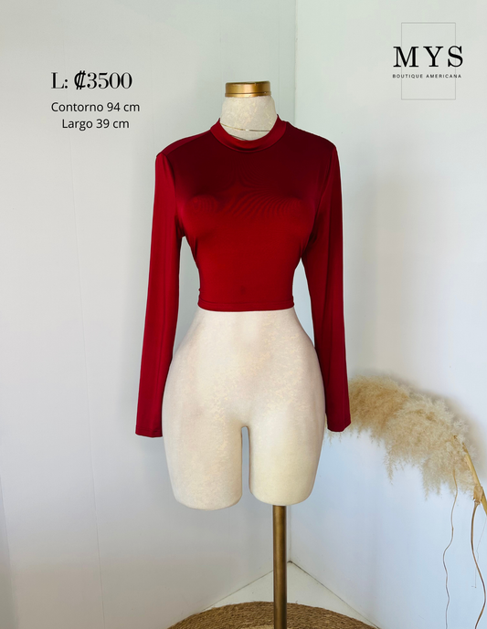 Blusa