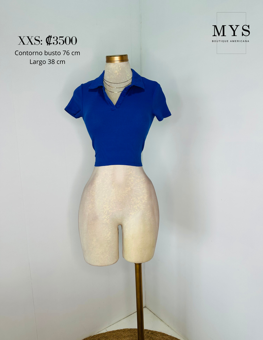 Blusa