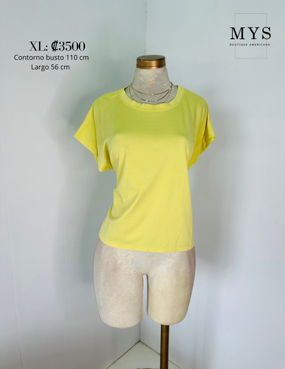 Blusa